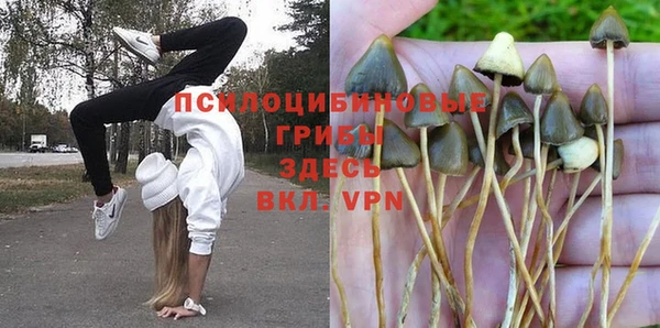 a pvp Алзамай