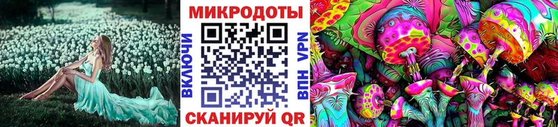 omg ONION Оса Галлюциногенные грибы мухоморы закладки